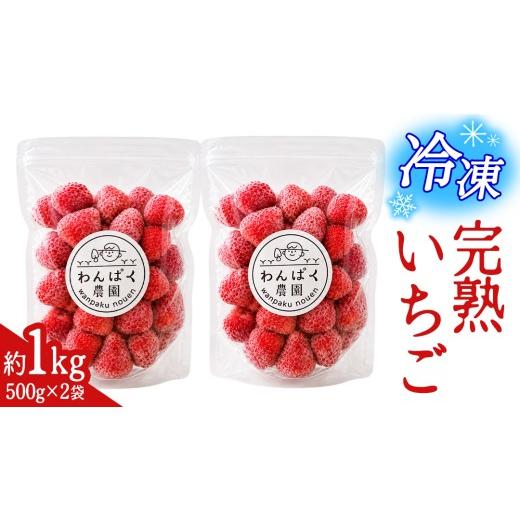 ふるさと納税 いちご 茨城県 城里町 冷凍 完熟 イチゴ 1kg ( 500g × 2袋 ) スムージー お菓子 ヨーグルト アイス デザート おやつ 朝食 いちご博銀賞 受賞 産…