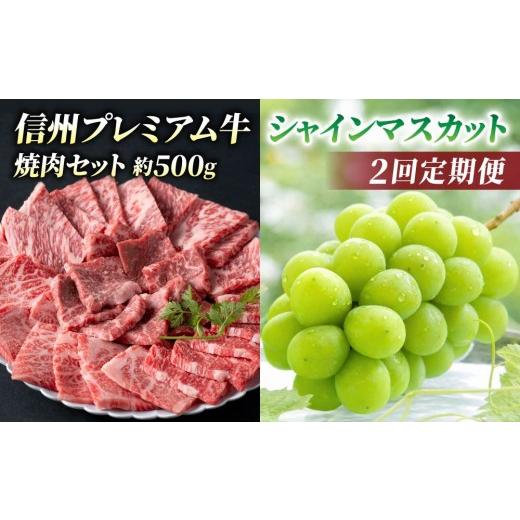 ふるさと納税 ぶどう マスカット 長野県 東御市 2回定期便 信州プレミアム牛肉(焼肉用500g)・シャインマスカット2房| 小田切牧場/JA信州うえだ ぶどう 葡…