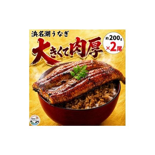 ふるさと納税 うなぎ 静岡県 湖西市 大豆イソフラボンで育てた浜名湖うなぎ蒲焼「やわら華」大きくて肉厚 (約200g×2尾) 1746436