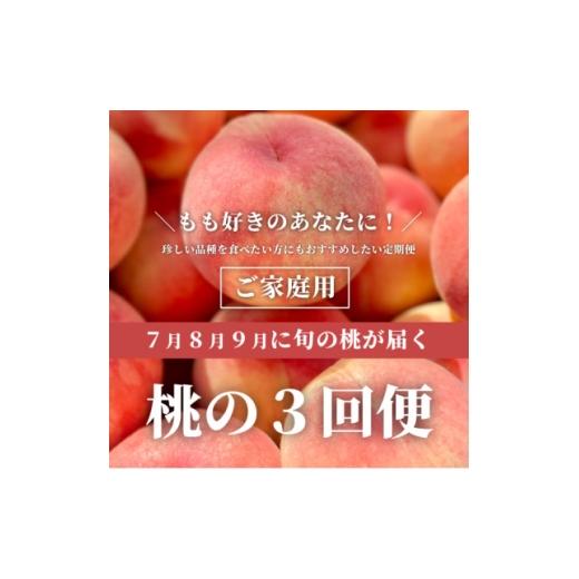 ふるさと納税 もも 岡山県 津山市 発送月固定定期便 桃好きの為の、桃3回便 (家庭用5-7玉入)(岡山県産)全3回 4061982