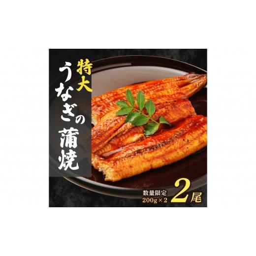 ふるさと納税 うなぎ 福岡県 篠栗町 大容量400g 特大うなぎ蒲焼200g×2尾 | ふるさと納税 うなぎ 蒲焼 うなぎ蒲焼 鰻 うな重 うなぎ丼 タレ付き 冷凍 お取り寄…