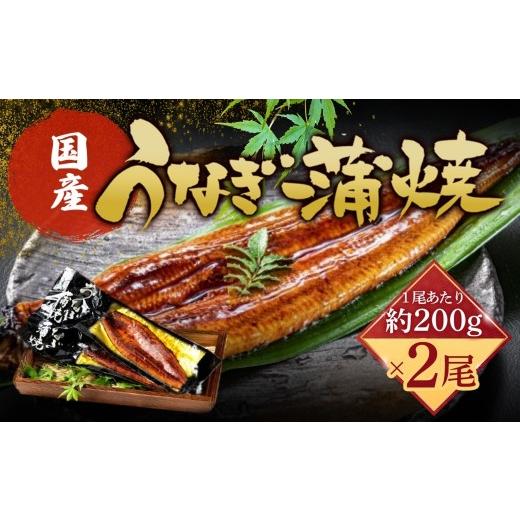 ふるさと納税 うなぎ 福岡県 篠栗町 国産うなぎ蒲焼 200g×2尾(合計400g)| ふるさと納税 うなぎ 蒲焼 うなぎ蒲焼 鰻 うな重 うなぎ丼 タレ付き 冷凍 お取り…
