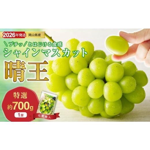 ふるさと納税 ぶどう マスカット 岡山県 備前市 2026年発送分 岡山県産シャインマスカット「晴王」 特選 大房 化粧箱入 1房(約700g)(令和8年8月中旬以…