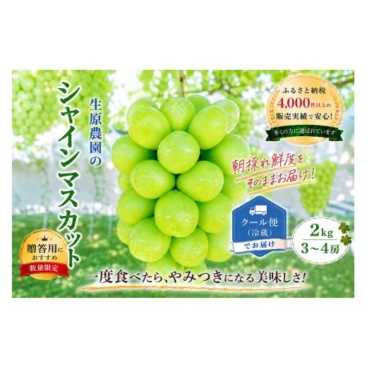ふるさと納税 ぶどう マスカット 山梨県 笛吹市 2026年発送 先行予約 フルーツ王国笛吹市の大粒シャインマスカット3~4房2kg 137-003 山梨 笛吹市 山梨県産 シ…