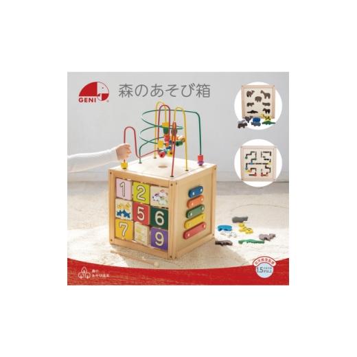 ふるさと納税 雑貨・日用品 玩具 兵庫県 尼崎市 森のあそび箱 1731083