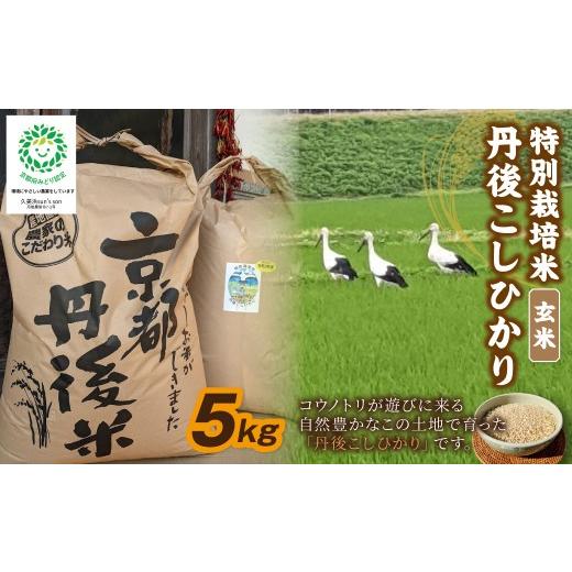 ふるさと納税 玄米 京都府 京丹後市 配送時期:2026年9月、10月、11月 3ヶ月定期便 令和8年産 丹後こしひかり 玄米5kg 特別栽培米 新米 ふるさと納税 米 玄米…