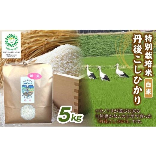 ふるさと納税 米 コシヒカリ 京都府 京丹後市 配送時期:2026年9月、10月、11月 3ヶ月定期便 令和8年産 丹後こしひかり 白米5kg 特別栽培米 新米 ふるさと納…