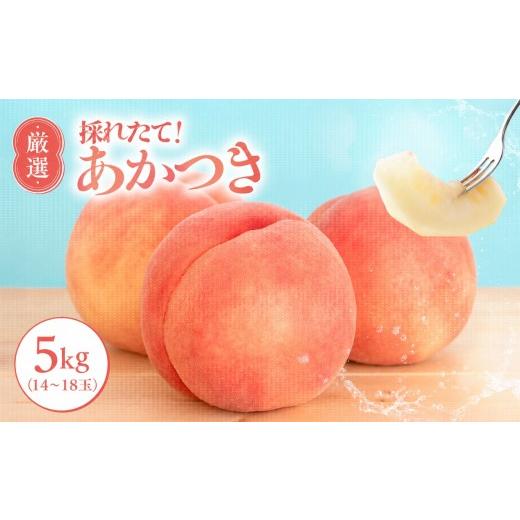 ふるさと納税 もも 長野県 飯田市 7月下旬より順次発送 南信州産「桃」あかつき 約5kg 14~18玉 | 果物 くだもの フルーツ 桃 あかつき モモ もも 長野県 信州…