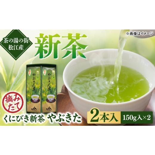 ふるさと納税 お茶類 緑茶(茶葉・ティーバッグ) 島根県 松江市 くにびき新茶 やぶきた 2本入 島根県松江市/島根県農業協同組合くにびき地区本部
