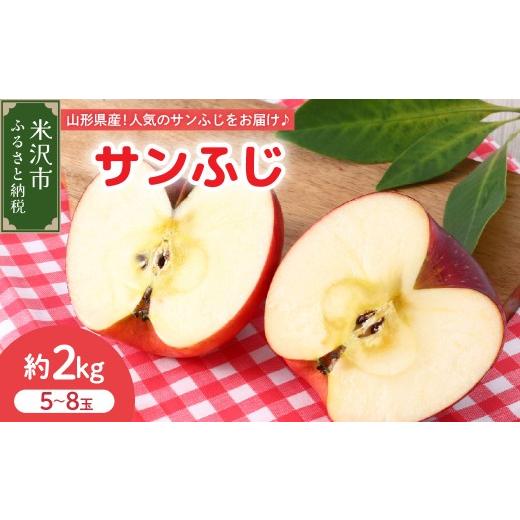 ふるさと納税 りんご 山形県 米沢市 先行予約 令和8年産 りんご サンふじ 秀品 約2kg 5玉 〜 8玉 2026年11月中旬〜12月上旬頃 お届け予定 山形県 米沢市