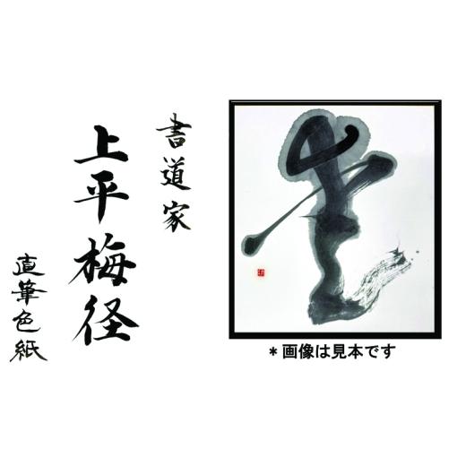 ふるさと納税 雑貨・日用品 大阪府 泉佐野市 書道家による直筆書 上平梅径 直筆書(白1字)