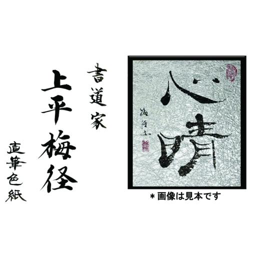 ふるさと納税 雑貨・日用品 大阪府 泉佐野市 書道家による直筆書 上平梅径 直筆書(銀2字)