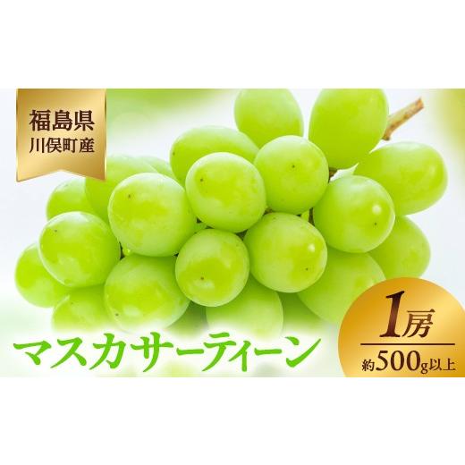 ふるさと納税 ぶどう マスカット 福島県 川俣町 川俣町産 マスカサーティーン 1房 約500g以上 マスカット ぶどう ブドウ 葡萄 デザート フルーツ 果物 くだも…