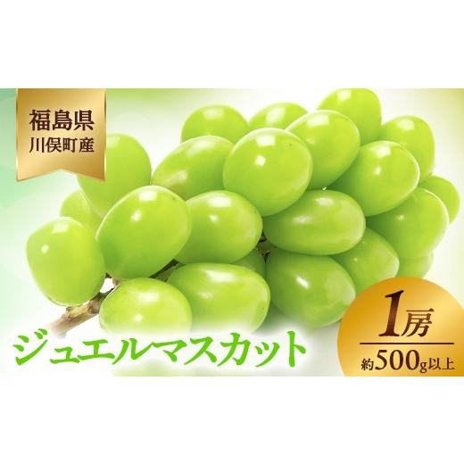 ふるさと納税 ぶどう マスカット 福島県 川俣町 川俣町産 ジュエルマスカット 1房 約500g以上 マスカット ぶどう ブドウ 葡萄 デザート フルーツ 果物 くだも…
