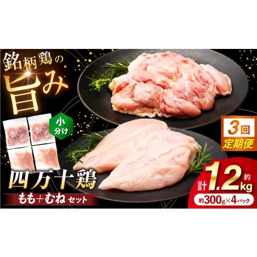 ふるさと納税 鶏肉 モモ 高知県 高知市 3回定期便 四万十鶏 おいしいとこ鶏 セット (もも肉 むね肉 計約1.2kg)/ 四万十鶏 もも肉 むね肉 冷凍 三栄ブロイラ…