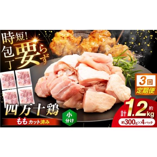 ふるさと納税 鶏肉 モモ 高知県 高知市 3回定期便 四万十鶏もも肉 切身 約1.2kg (約300g×4パック) カットでかんたん 時短セット / 四万十鶏 もも肉 小分…
