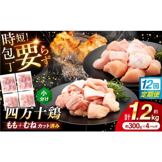 ふるさと納税 鶏肉 モモ 高知県 高知市 12回定期便 四万十鶏「もも肉」「むね肉」 切身 計約1.2kg(約300g×4パック)カットでかんたん時短セット / 四万十…