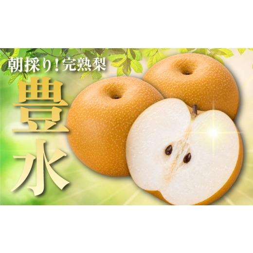 ふるさと納税 梨 神奈川県 平塚市 数量限定 湘南産 完熟 梨 豊水 約 5kg なし ナシ 梨5kg 5キロ ほうすい 旬 梨 湘南 果物 果実 くだもの 甘い デザート フル…