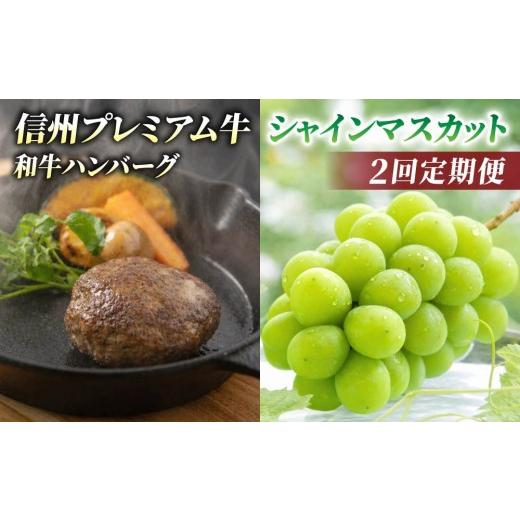 ふるさと納税 ぶどう マスカット 長野県 東御市 2回定期便 信州プレミアム牛肉(ハンバーグ4個)・シャインマスカット 2房| 小田切牧場/JA信州うえだ ぶど…