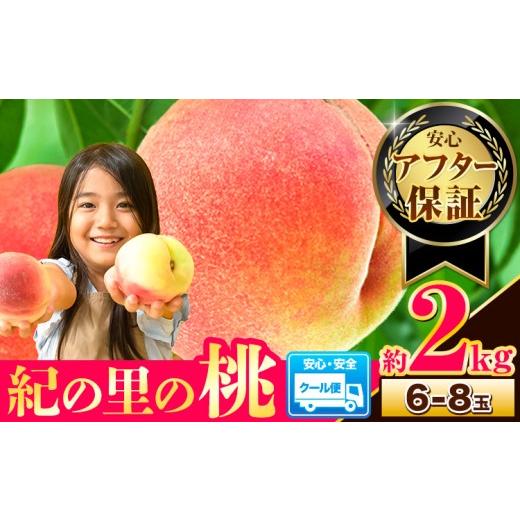 ふるさと納税 もも 和歌山県 紀の川市 4年連続人気No.1 桃 〜とろける甘さ〜 紀の里の桃 約2kg(6-8玉入り) アフター保証付 [2026年6月中旬-8月中旬頃出荷] …