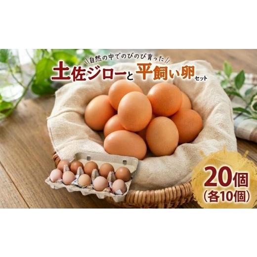 ふるさと納税 卵(鶏、烏骨鶏等) 高知県 南国市 土佐ジローの卵と平飼い卵 セット 各10個(10個×2パック) 合計20個 | たまごのおくだ 新鮮 土佐ジロー 平飼い…
