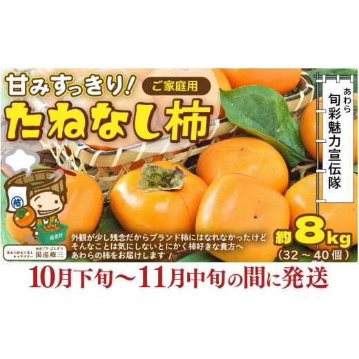ふるさと納税 果物類 柿 福井県 あわら市 先行予約 訳あり 2026年10月下旬〜11月中旬に発送 甘みすっきり あわらのたねなし柿 約8kg(32個〜40個)(ご家庭用…