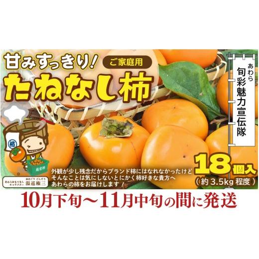 ふるさと納税 果物類 柿 福井県 あわら市 先行予約 訳あり 2026年10月下旬〜11月中旬に発送 甘みすっきり あわらのたねなし柿 約3.5kg(18個入)(ご家庭用)…