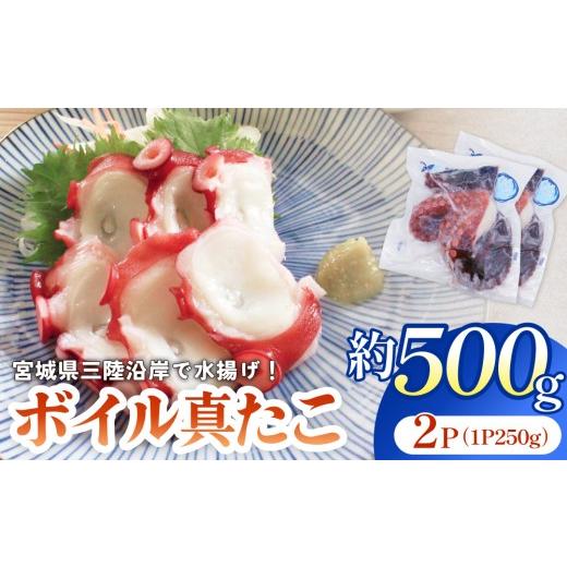 ふるさと納税 タコ 宮城県 石巻市 真たこ ボイル 約 500g 蛸 たこ タコ ボイル済み 冷凍 小分け CAS凍結 海鮮 魚介類