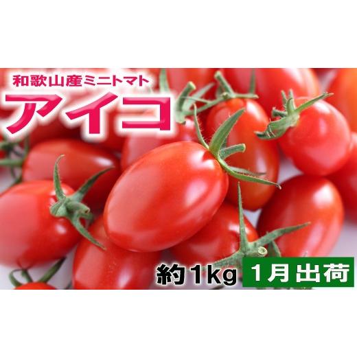 ふるさと納税 トマト ミニトマト 和歌山県 新宮市 和歌山産ミニトマト「アイコトマト」約1kg(M・Lサイズおまかせ)[2027年1月出荷分] tec101-1 1月発送分