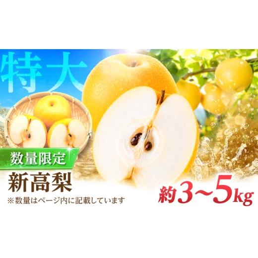ふるさと納税 梨 長崎県 南島原市 9〜10月発送 梨の王様 こだわり 新高梨 約3kg / 梨 ナシ フルーツ 果物 旬 先行予約 産地直送 家庭用 国産 / 南島原市 /…