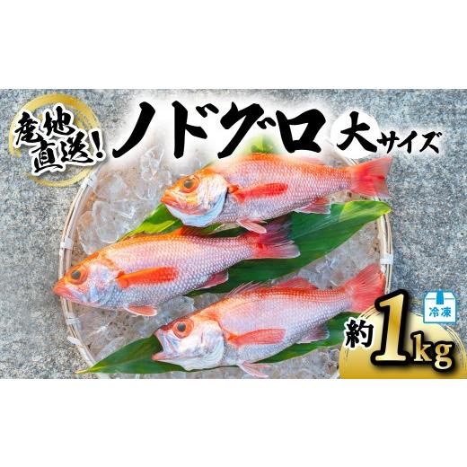 ふるさと納税 魚貝類 のどぐろ 徳島県 海陽町 ノドグロ 大サイズ 約1kg 産地直送 冷凍 下処理済 アカムツ のどぐろ 高級魚 水揚げ時重量約1kg 下処理後約800g