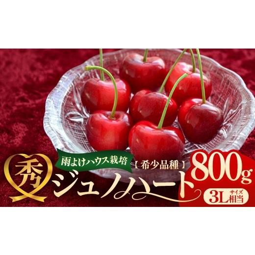 ふるさと納税 果物類 さくらんぼ 青森県 三戸町 高級さくらんぼ「ジュノハート」(3L相当・800g) バラ詰め 2026年6月下旬〜7月上旬頃にかけて順次発送予定 バ…