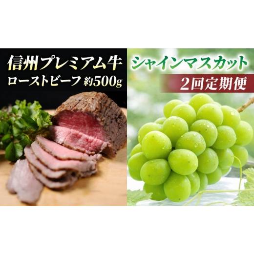 ふるさと納税 ぶどう マスカット 長野県 東御市 2回定期便 信州プレミアム牛肉(ローストビーフ 約500g)・シャインマスカット 2房| 小田切牧場/JA信州うえ…
