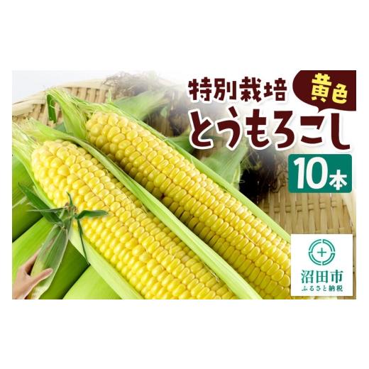 ふるさと納税 とうもろこし 群馬県 沼田市 沼田市産 特別栽培のとうもろこし 10本 黄色 ゴールドラッシュ 黄色い とうもろこし トウモロコシ ごーるどらっしゅ…