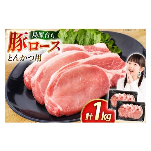 ふるさと納税 豚肉 ロース 長崎県 島原市 AK032 豚ロース とんかつ用 500g 2パック 計1kg 豚肉 ぶた肉 ロース 小分け 肉 お肉 とんかつ 1キロ BBQ バーベキュ…