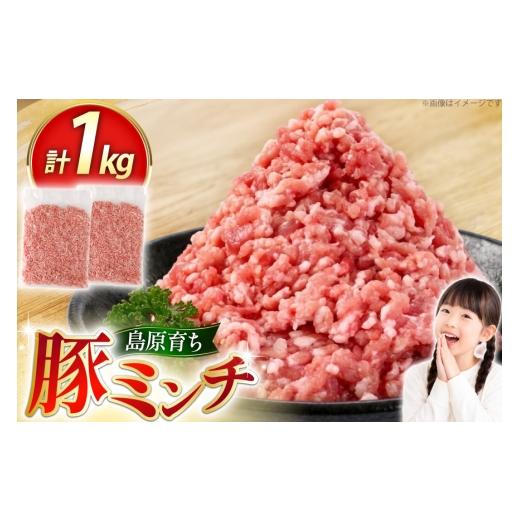 ふるさと納税 豚肉 長崎県 島原市 AK026 豚ミンチ 500g 2パック 計1kg 豚肉 肉 ミンチ ミンチ肉 小分け ぶた肉 ぶた 豚 スターゼン 長崎県 島原市