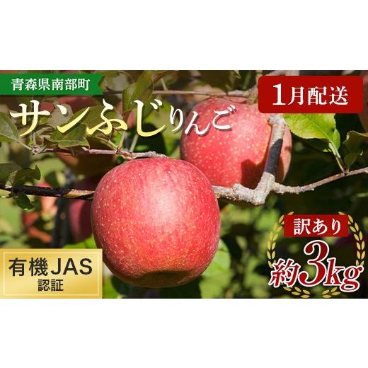 ふるさと納税 りんご 青森県 南部町 [1月配送] [訳あり] 有機JAS認証 サンふじ りんご 約3kg 和楽堂りんご養生農苑 青森りんご リンゴ 林檎 アップル 果物…