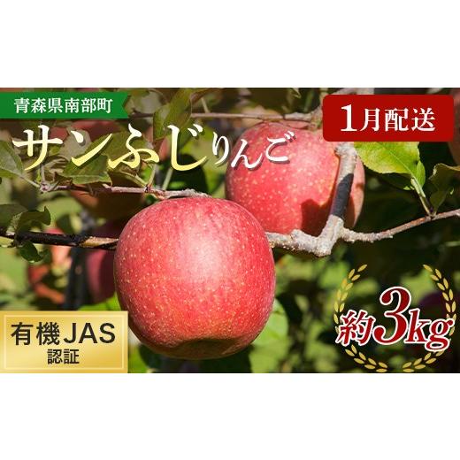 ふるさと納税 りんご 青森県 南部町 [1月配送] 先行予約 有機JAS認証 サンふじ りんご 約3kg 和楽堂りんご養生農苑 青森りんご リンゴ 林檎 アップル 果物 …
