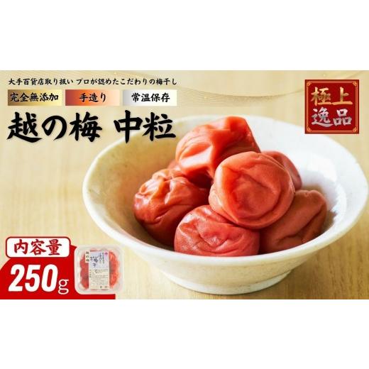 ふるさと納税 梅干・漬物・キムチ 岩手県 住田町 及川農園 梅干し 越の梅 中粒 250g / 賞味期限 約3年 国産 手作り 完全無添加 大手航空会社 国際線 ファース…