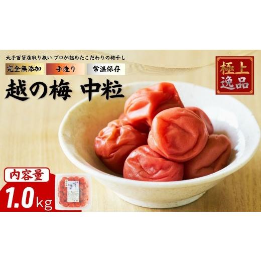 ふるさと納税 梅干・漬物・キムチ 岩手県 住田町 及川農園 梅干し 越の梅 中粒 1.0kg / 賞味期限 約3年 国産 手作り 完全無添加 大手航空会社 国際線 ファー…