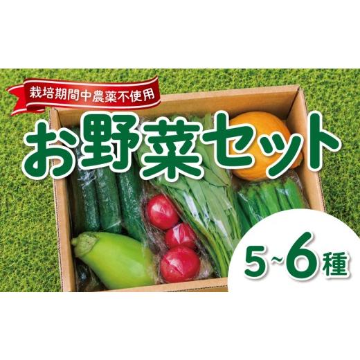 ふるさと納税 セット・詰合せ 千葉県 東金市 野菜セット 5~6品目 野菜 やさい 詰め合わせ 詰合せ おやさい 農薬 栽培期間中不使用 玉ねぎ にんじん 大根 じゃ…