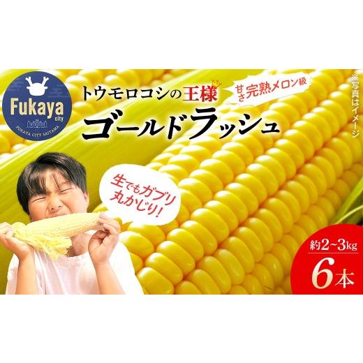 ふるさと納税 とうもろこし 埼玉県 深谷市 深谷 とうもろこしの王様 ゴールドラッシュ 6本 2〜3kg