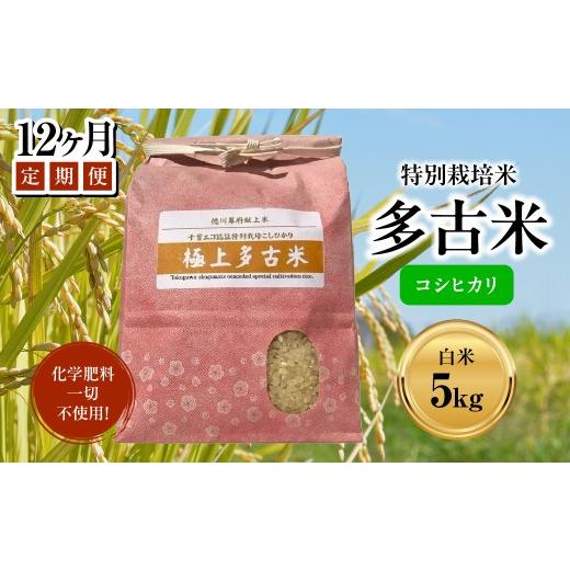 ふるさと納税 米 コシヒカリ 千葉県 多古町 定期便 化学肥料一切不使用 特別栽培米多古米「コシヒカリ」白米5kgx12回 TAKJ006/ふるさと納税 多古米 コシヒカ…