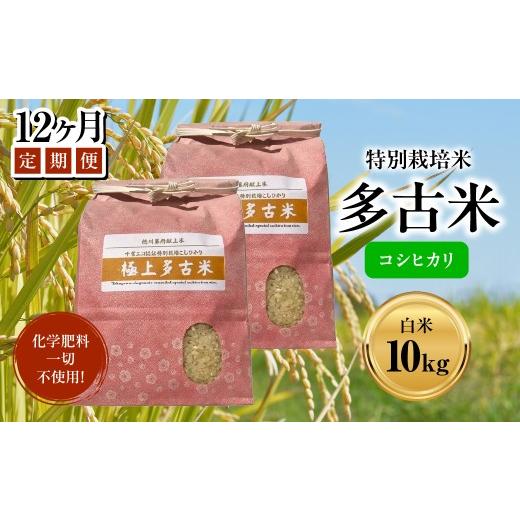 ふるさと納税 米 コシヒカリ 千葉県 多古町 定期便 化学肥料一切不使用 特別栽培米多古米「コシヒカリ」白米10kgx12回 TAKJ007/ふるさと納税 多古米 コシヒ…