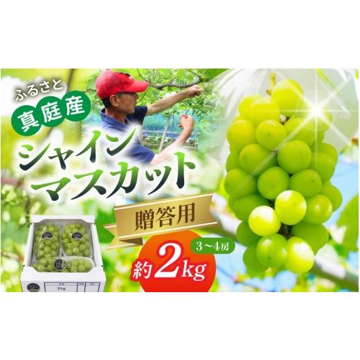 ふるさと納税 ぶどう マスカット 岡山県 真庭市 [贈答用]岡山産 シャインマスカット 約2kg| シャインマスカット 果物 フルーツ マスカット ますかっと くだ…
