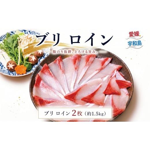 ふるさと納税 旬の鮮魚等 愛媛県 宇和島市 鰤 ぶり ブリ ロイン 計 1.5kg ぶりカマ こもねっと 冷凍 スキンレスロイン ロイン 鰤ロイン buri 鰤しゃぶ ぶりし…