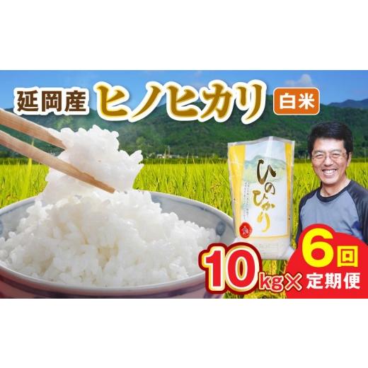 ふるさと納税 米 ヒノヒカリ 宮崎県 延岡市 延岡産ヒノヒカリ(白米)10kg 6ヶ月定期便 N0218-YH069 6ヶ月定期便