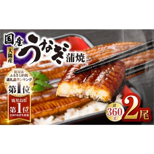 ふるさと納税 うなぎ 鹿児島県 鹿屋市 土用の丑の日特集 数量限定 鹿児島県大隅産うなぎ蒲焼 2尾(360g) KN007-002-04-cp