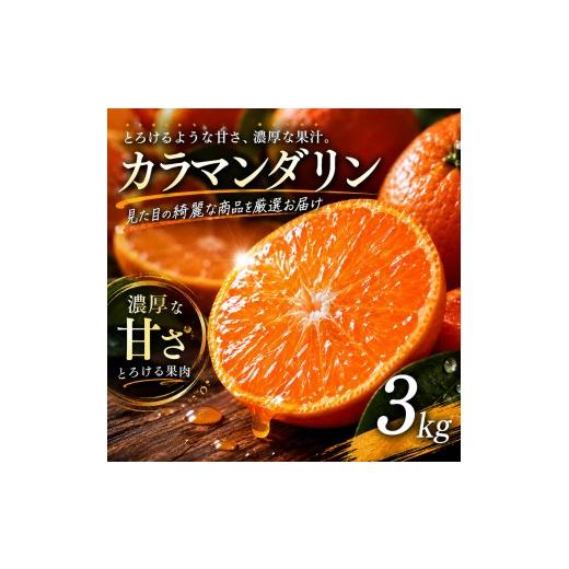 ふるさと納税 果物類 みかん 愛媛県 松山市 選び抜いた一箱 ギュッと濃い甘さ カラマンダリン 3kg 愛媛県産 2027年4月上旬頃から順次発送 | みかん 蜜柑 mika…