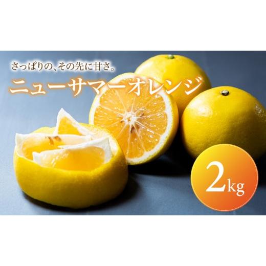 ふるさと納税 果物類 みかん 愛媛県 松山市 ニューサマーオレンジ 家庭用 2kg 2027年4月中旬頃から順次発送 | みかん ミカン mikan 蜜柑 訳ありフルーツ 柑橘 …